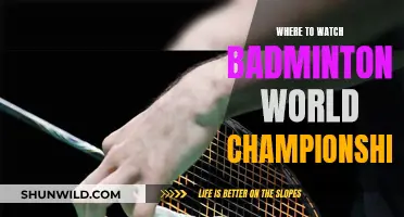 Best Platforms to Watch Badminton World Championship