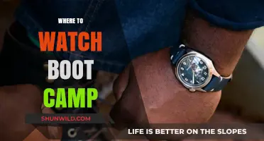 Discover the Best Places to Watch Boot Camp Online or In-Person