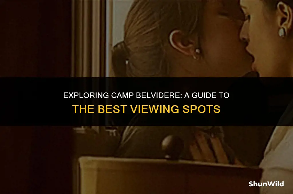where to watch camp belvidere