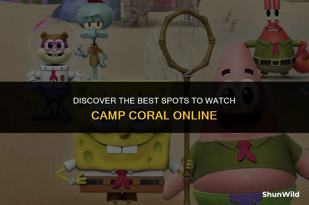 where to watch camp coral