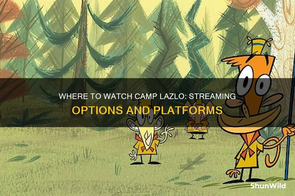 where to watch camp lazlo