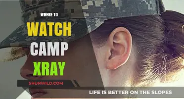 Unveiling the Best Platforms to Stream 'Camp X-Ray' Online