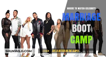 Where to Watch Celebrity Marriage Boot Camp: Top Streaming Options