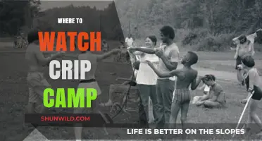 Where to Watch Crip Camp: Streaming Options and Platforms