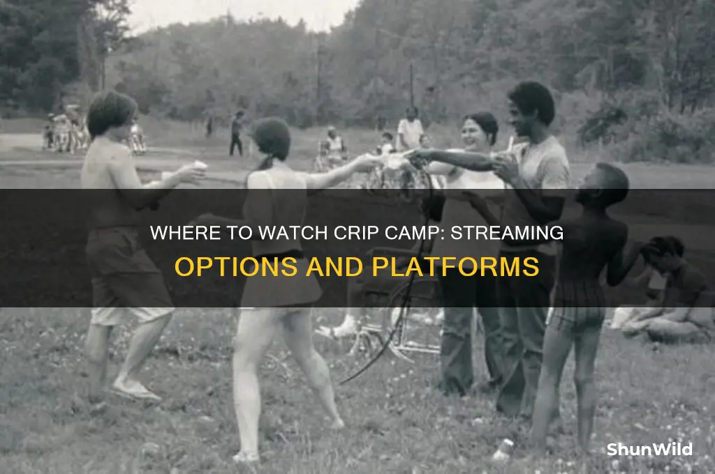 where to watch crip camp
