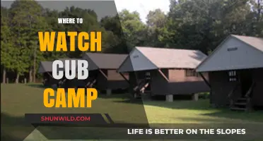 Exploring the Great Outdoors: Your Guide to Cub Camp Viewing Spots
