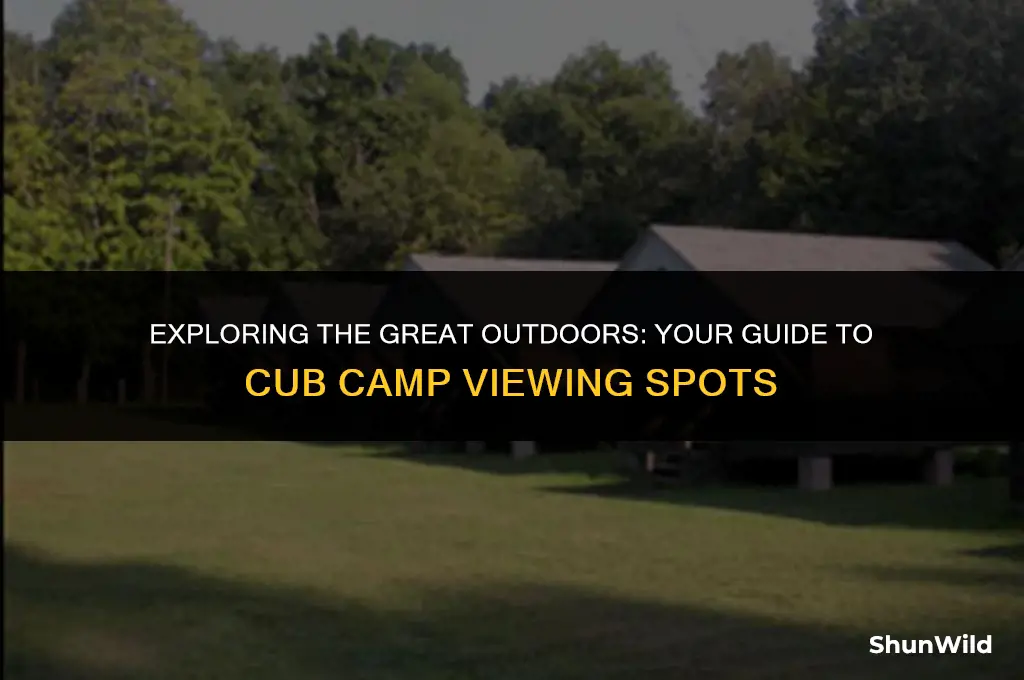 where to watch cub camp