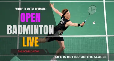 Best Platforms to Watch Denmark Open Badminton Live