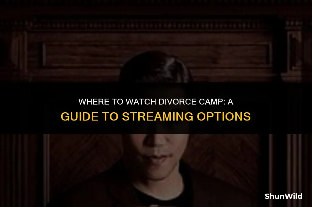 where to watch divorce camp