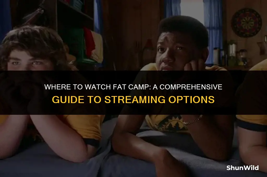 where to watch fat camp