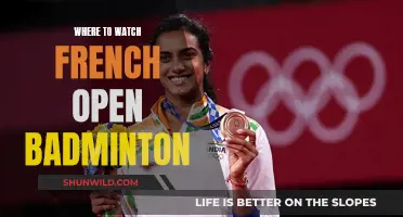 Best Platforms to Stream French Open Badminton
