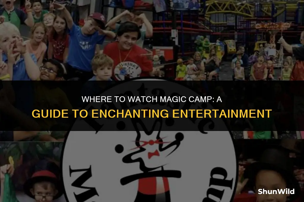 where to watch magic camp