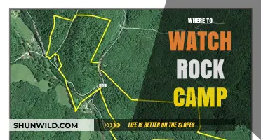 Unleash Your Inner Rocker: Top Spots to Catch Rock Camp Action