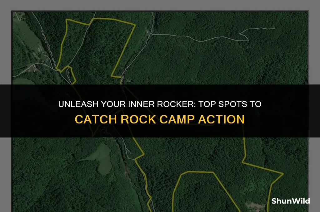 where to watch rock camp