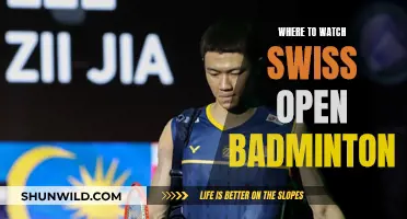 Best Platforms to Stream Swiss Open Badminton