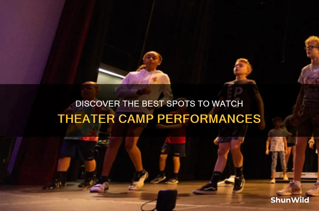 where to watch theater camp