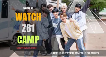 Where to Watch ZB1 Camp: A Comprehensive Streaming Guide