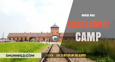 Unveiling the Horrors: A Journey to Auschwitz Concentration Camp