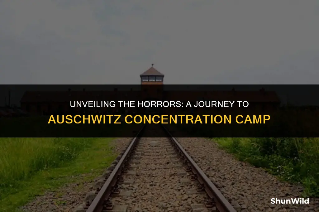 where was aussscwitz camp