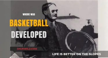 The Evolution of Basketball: Where It All Began
