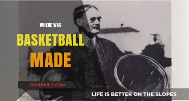 The Birthplace of Basketball: Where it All Began