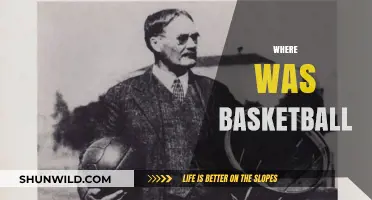 The Birthplace of Basketball: Where it All Began