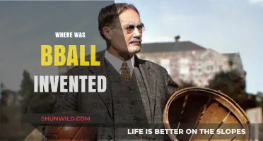 The Birthplace of Basketball: Where it All Began