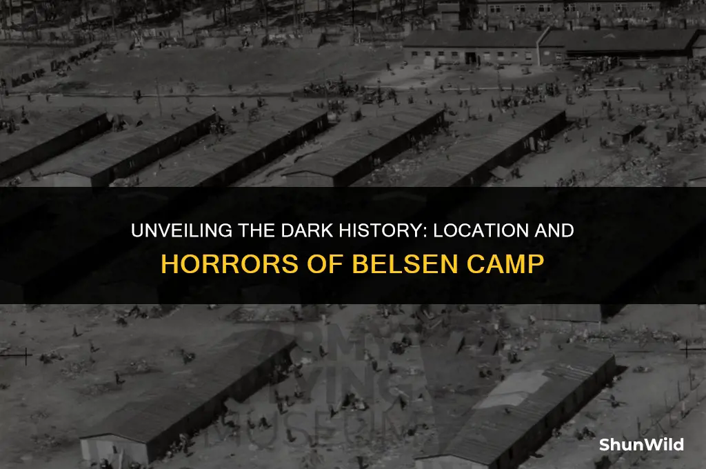 where was belsen camp