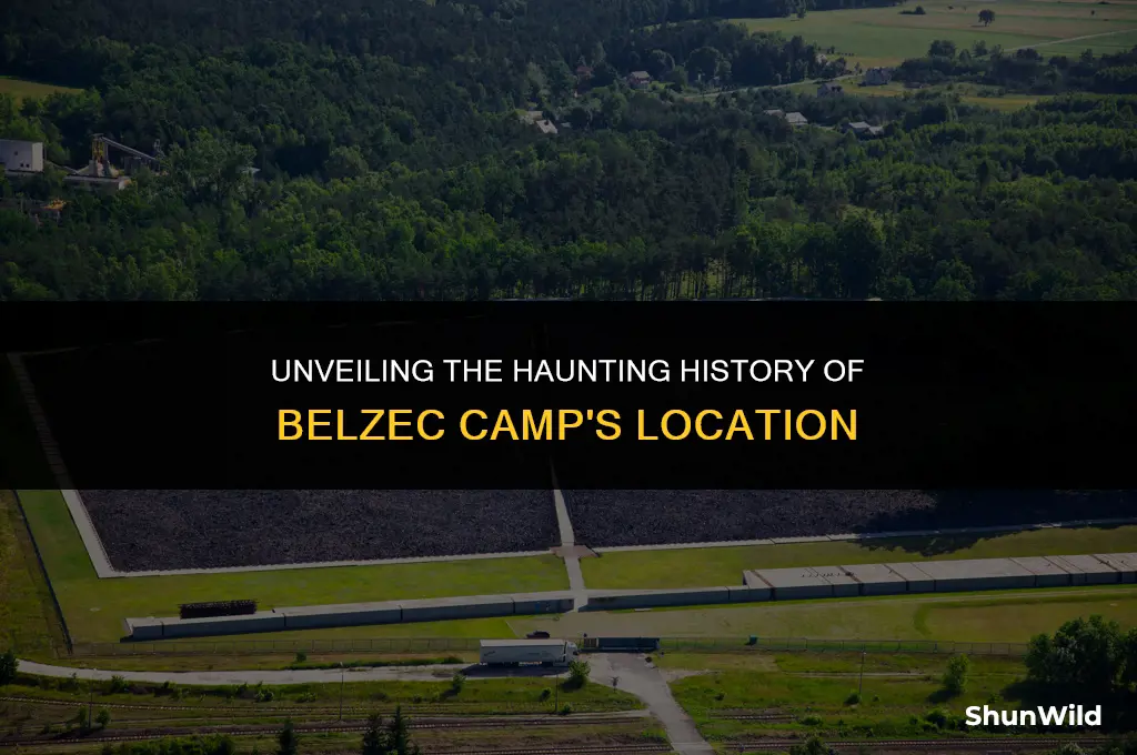 where was belzec camp located