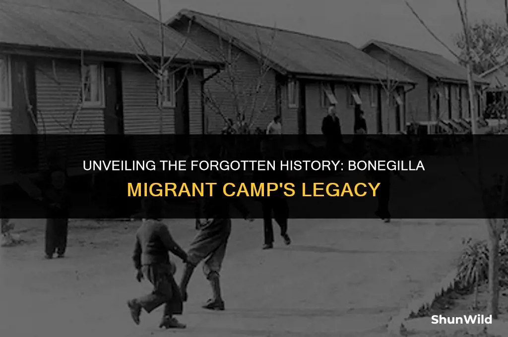 where was bonegilla migrant camp
