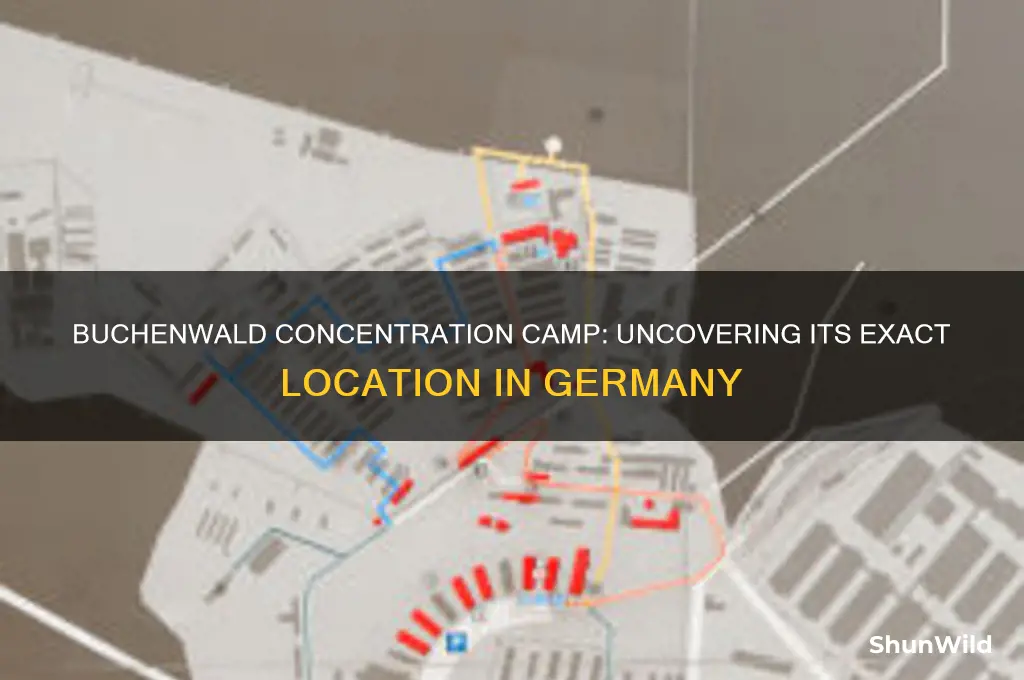where was buchenwald camp located