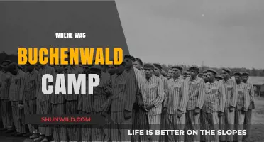 Unveiling the Haunting History of Buchenwald Concentration Camp
