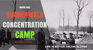 Buchenwald Concentration Camp: Location, History, and Legacy Explored