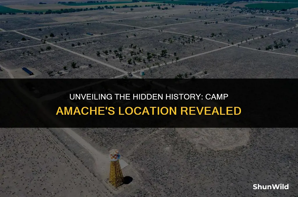 where was camp amache located
