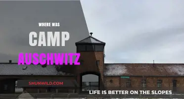 Unveiling the Horrors: A Journey to Auschwitz-Birkenau