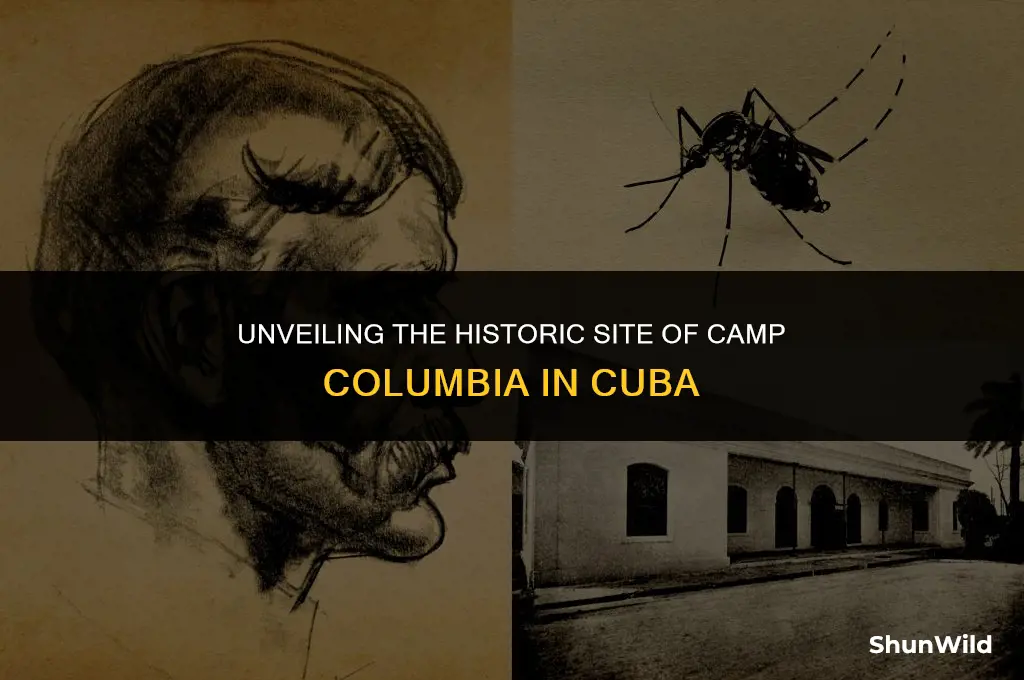 where was camp columbia cuba
