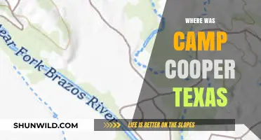 Unveiling the Hidden Gem: Camp Cooper's Texas Roots
