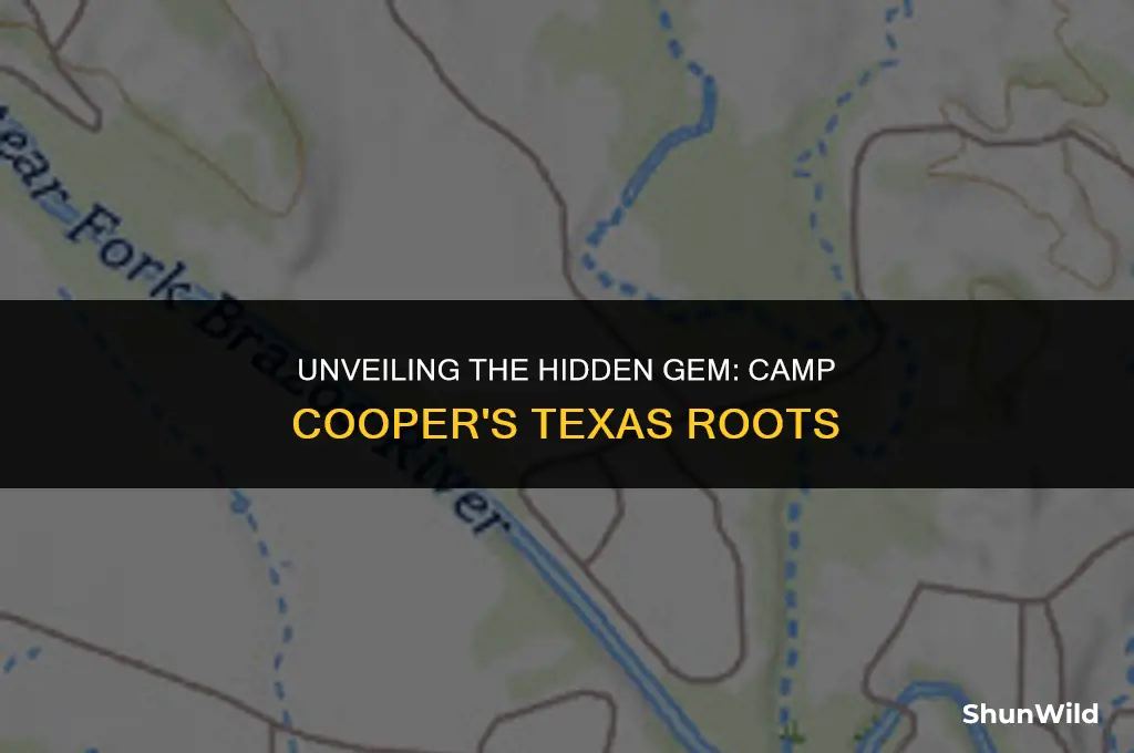 where was camp cooper texas