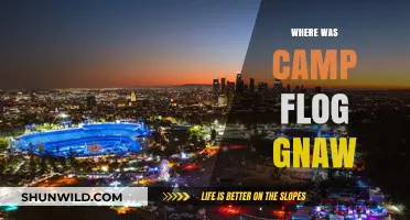 Decoding the Mystery: Where Was Camp Flog Gnaw Located?