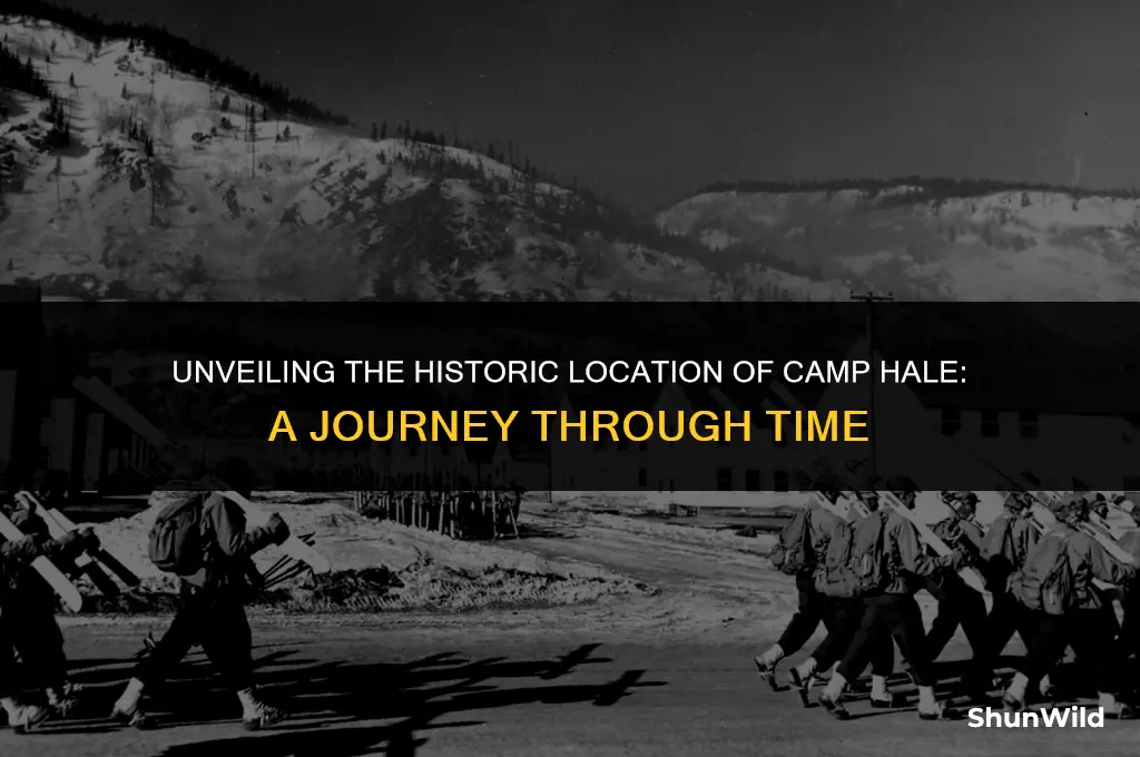 where was camp hale