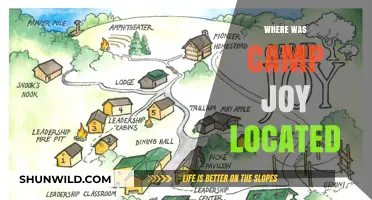 Unveiling the Mystery: The Enigmatic Location of Camp Joy