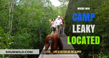 Unveiling the Mystery: The Elusive Location of Camp Leaky