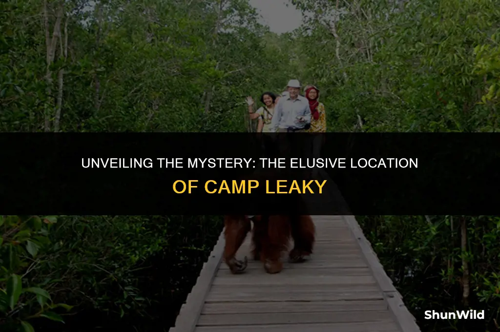 where was camp leaky located