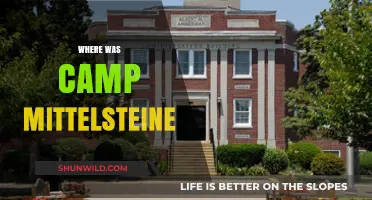 Unveiling the Hidden Horrors: The Untold Story of Camp Mittelsteine