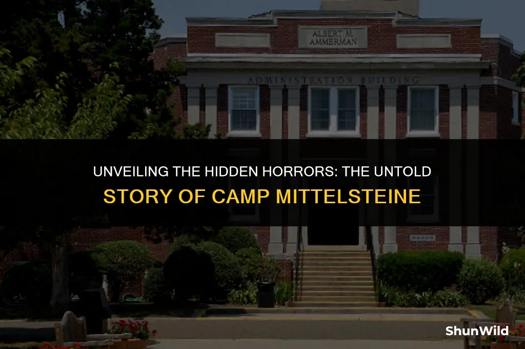 where was camp mittelsteine