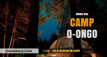 Unveiling the Mystery: The Elusive Location of Camp O-Onga