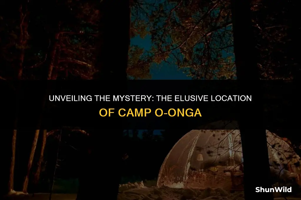 where was camp o-ongo