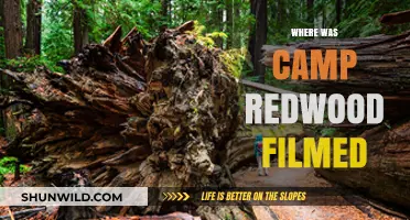 Unveiling the Filming Location of Camp Redwood: A Cinematic Journey