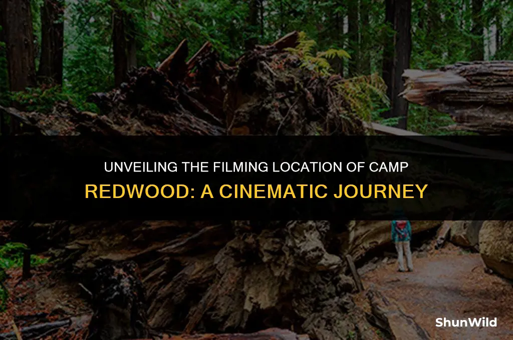 where was camp redwood filmed