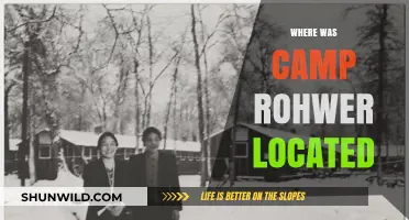 Unveiling the Hidden History: Camp Rohwer's Arkansas Legacy